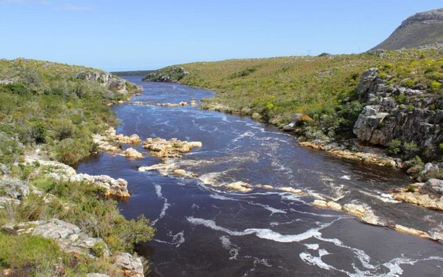 The Palmiet River runs right through the Kogelberg Nature reserve